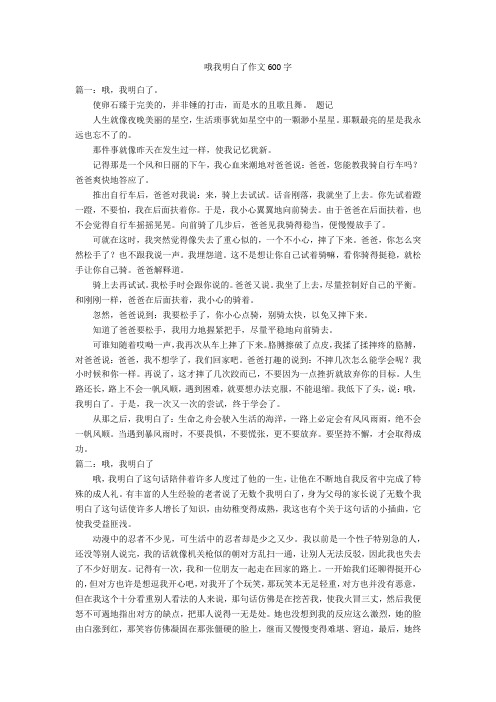 哦我明白了作文600字优秀作文