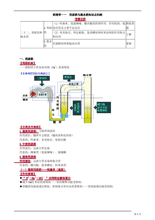 药理学—— 利尿药与脱水药知识点归纳