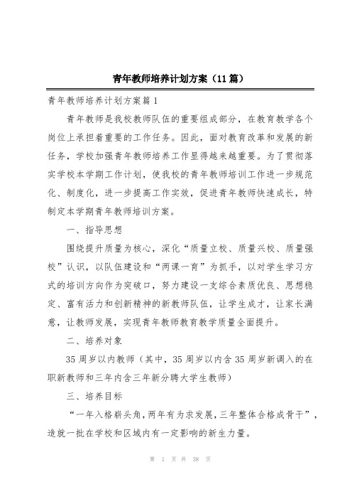 青年教师培养计划方案(11篇)