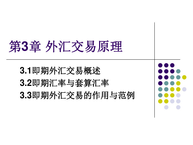 外汇交易原理与实务教学配套课件刘金波第3章即期外汇交易