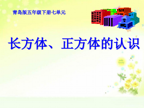 青岛小学数学五下长方体、正方体的认识PPT课件 (3)