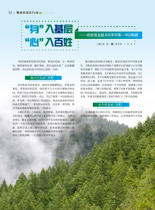 身入基层心入百姓--武胜县龙庭乡白羊村第一书记陈鹏