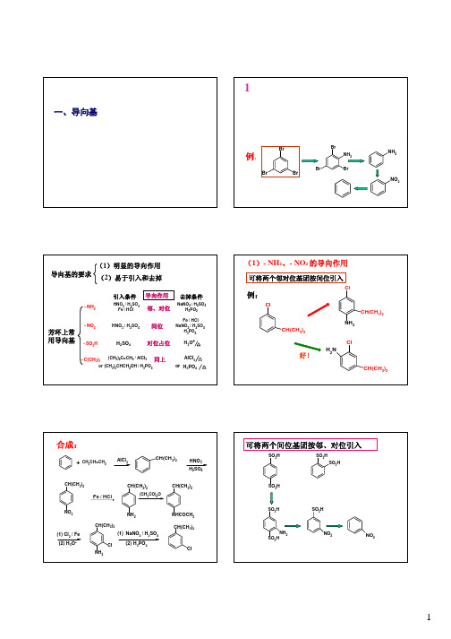 4第四章 导向基与保护基