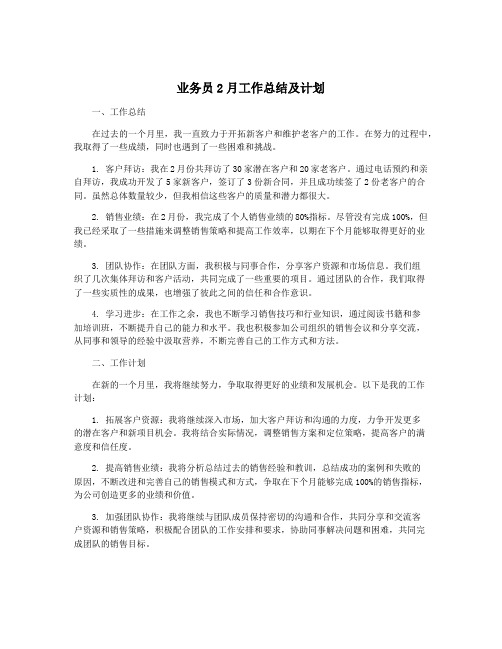 业务员2月工作总结及计划