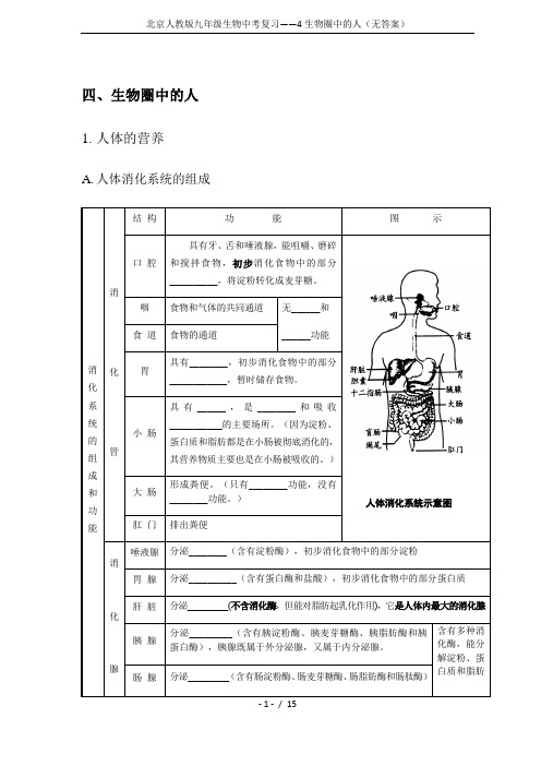 北京人教版九年级生物中考复习——4生物圈中的人(无答案)