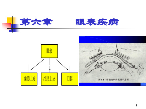 眼科学-眼表疾病精品PPT课件