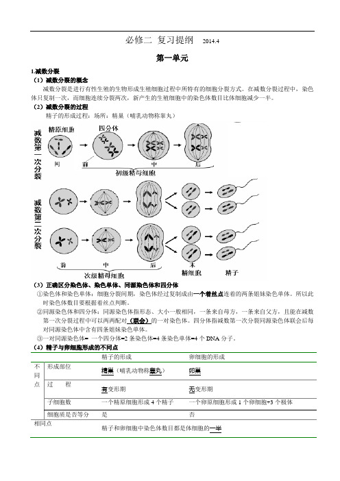 高中生物必修二复习提纲资料