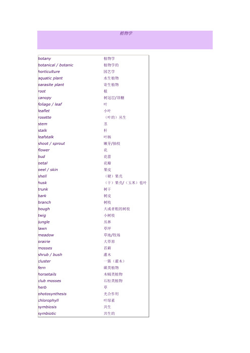 托福学术类别词汇