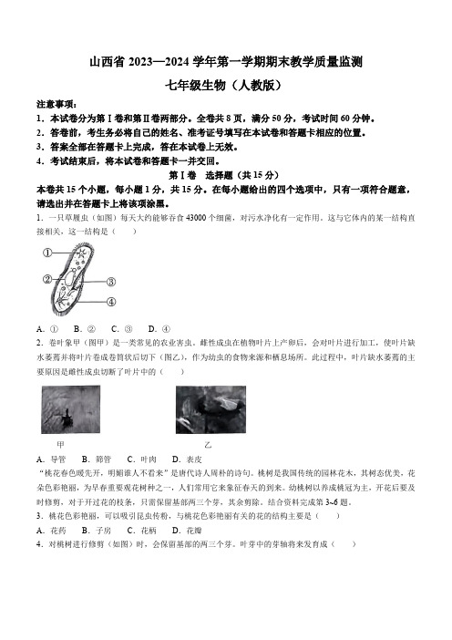 山西省大同市城区2023-2024学年七年级上学期期末测评 生物试卷(含答案)