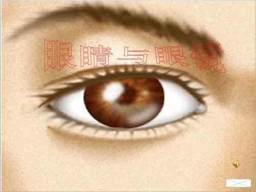 北师大版物理八年级下册《声有色的物质世界声和光  第六章 常见的光学仪器  四、眼睛和眼镜》公开课课件_4