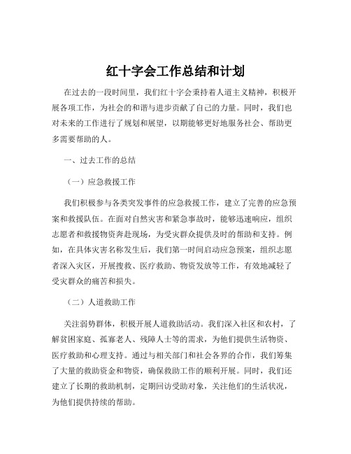 红十字会工作总结和计划