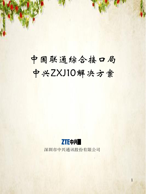 联通接口局ZXJ10解决方案(ppt 12页)