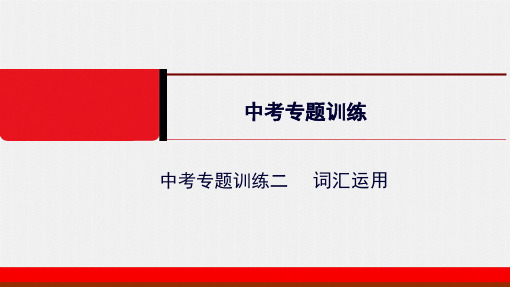 2020外研英语中考专题训练 词汇运用 共41张