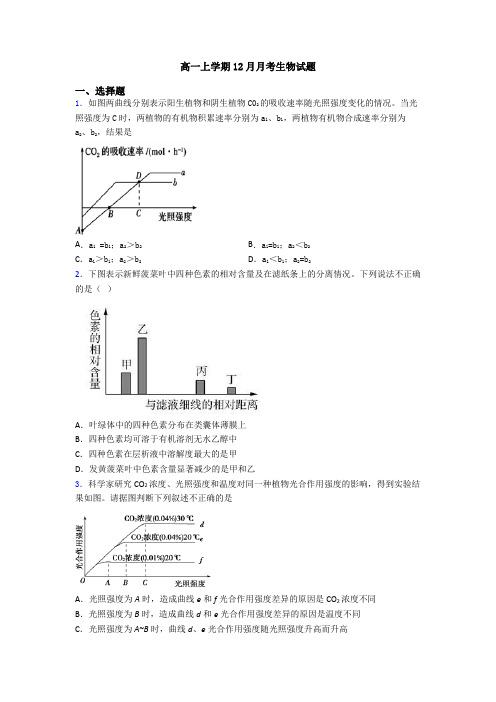 高一上学期12月月考生物试题