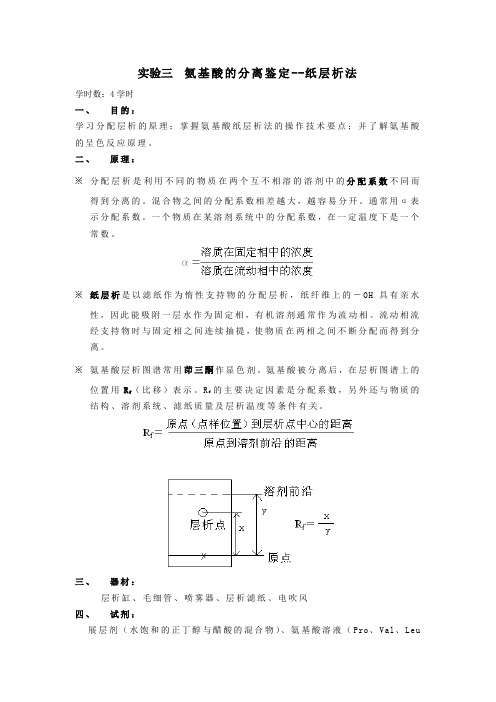 实验三  氨基酸的分离鉴定