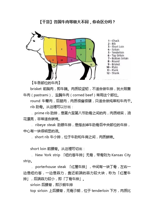 【干货】各国牛肉等级大不同，你会区分吗？