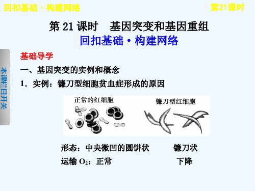 高考生物一轮复习第七单元第21课时课件