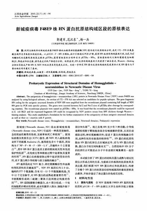 新城疫病毒F48E9株HN蛋白抗原结构域区段的原核表达