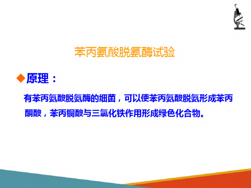 细菌的生化试验—苯丙氨酸脱氨酶实验(微生物检验课件)