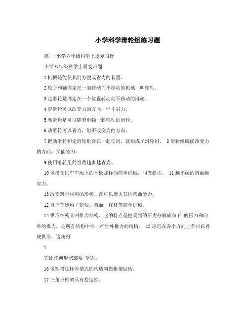 小学科学滑轮组练习题