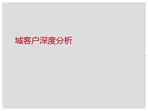 客户深度分析报告