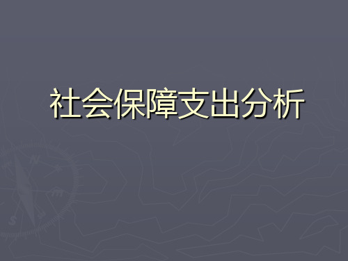 社会保障支出分析