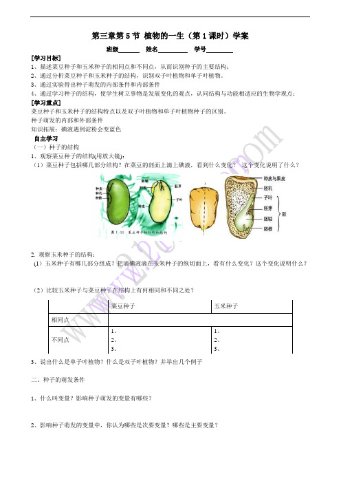 植物的一生导学案(一)