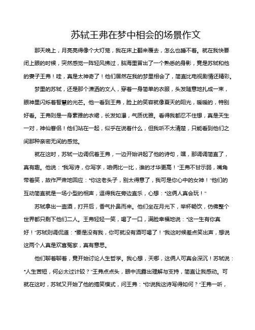 苏轼王弗在梦中相会的场景作文