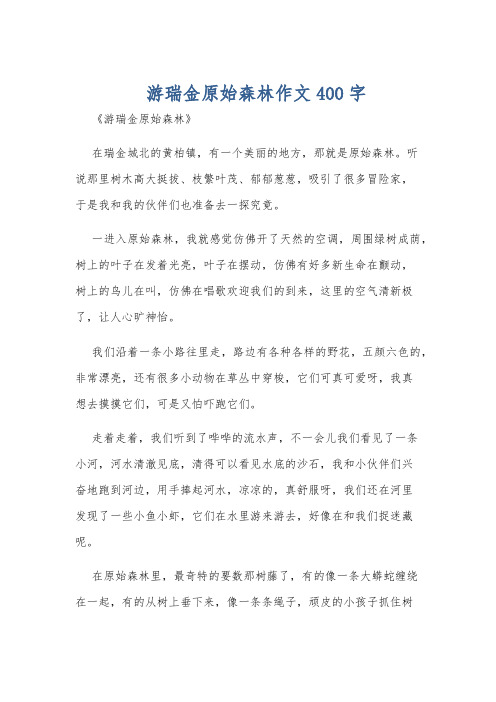 游瑞金原始森林作文400字