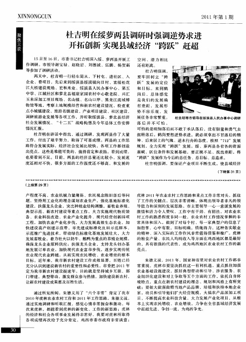 杜吉明在绥萝两县调研时强调逆势求进开拓创新实现县域经济“跨跃”赶超