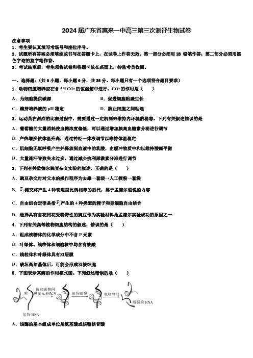 2024届广东省惠来一中高三第三次测评生物试卷含解析