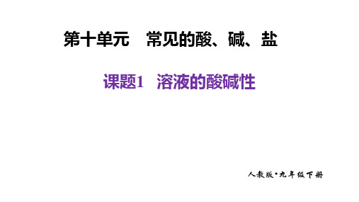 10.1溶液的酸碱性-2024-2025学年九年级化学人教版(2024)下册+++++++++++