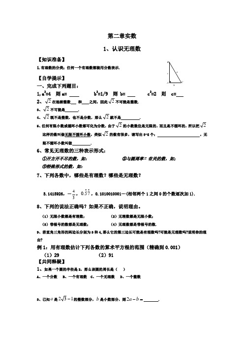 第二章实数,无理数