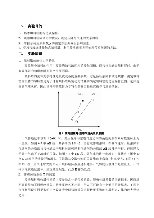 吸收实验