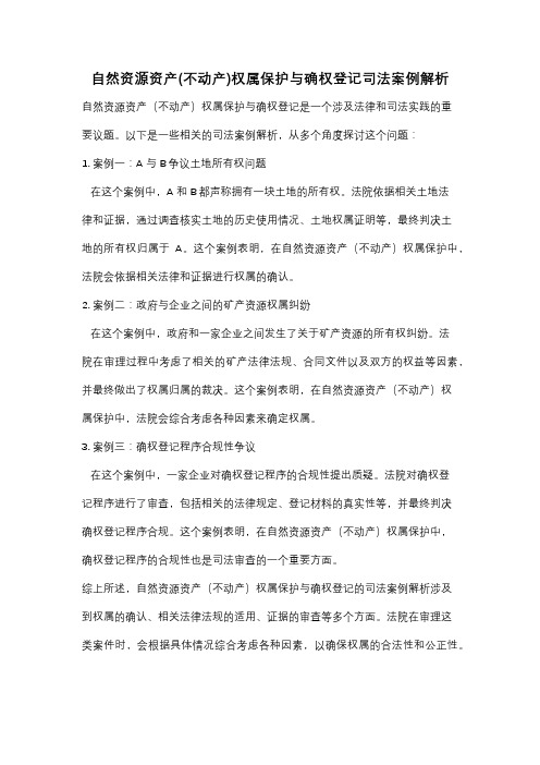 自然资源资产(不动产)权属保护与确权登记司法案例解析