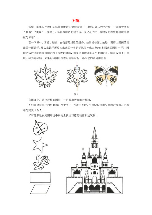 苏科初中数学八上  轴对称图形 13 对称知识拓展 