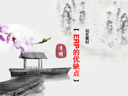 ERP的优缺点