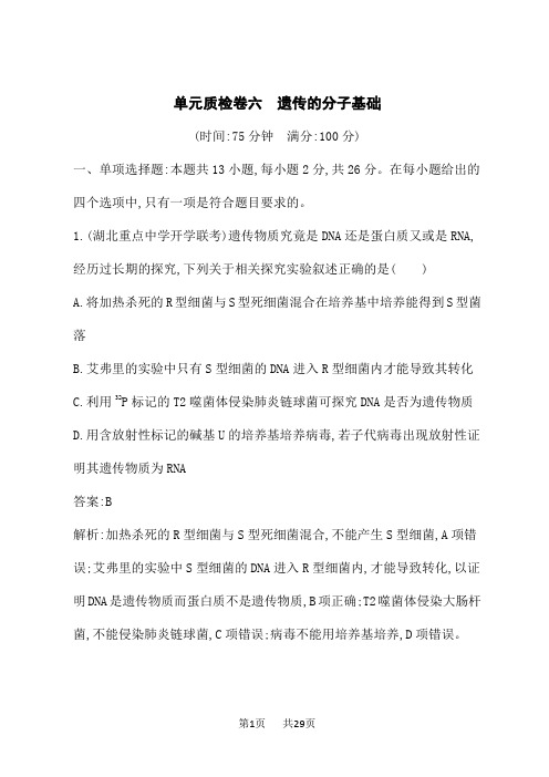 人教版高考生物学一轮总复习课后习题 第6单元 遗传的分子基础 单元质检卷六 遗传的分子基础 (3)