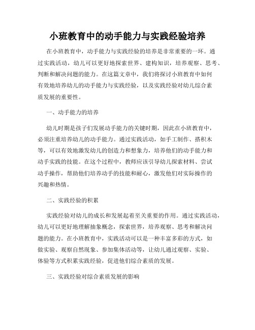 小班教育中的动手能力与实践经验培养