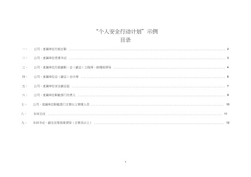 (完整版)个人安全行动计划示例