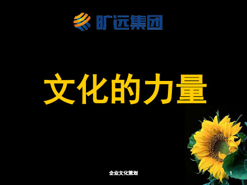 企业文化策划课件
