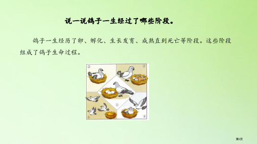 动物的一生市公开课一等奖省优质课获奖课件
