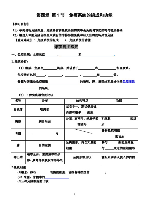 免疫系统的组成和功能