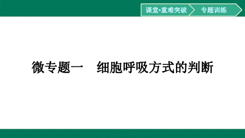 微专题1细胞呼吸方式的判断-2024-2025学年高二生物选择性必修1(人教版)配套课件