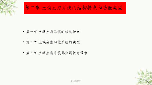 土壤生态学 土壤生态系统的结构特点和功能类型课件