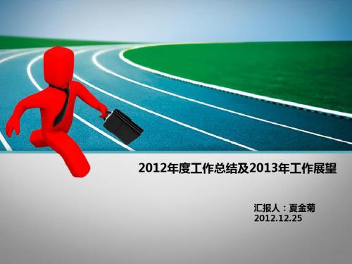 2012个人年终总结报告