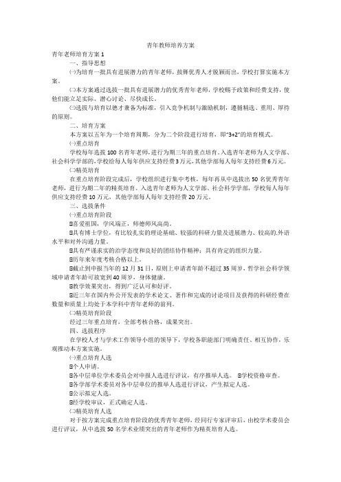 青年教师培养方案