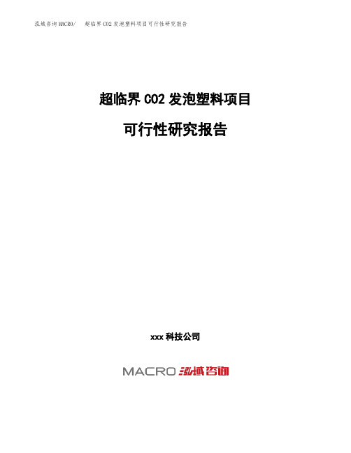 (投资参考建议模板)超临界CO2发泡塑料项目可行性研究报告