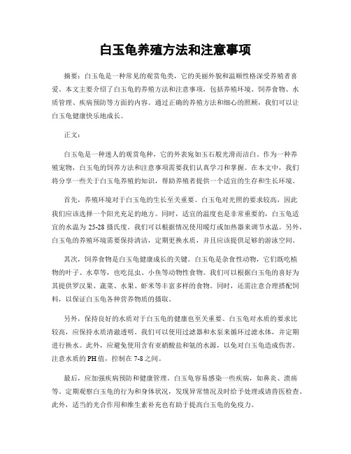 白玉龟养殖方法和注意事项