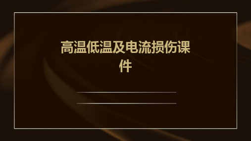 高温低温及电流损伤课件